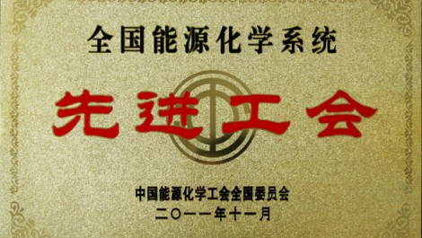 集團公司工會(huì )被授予全國能源化學(xué)系統先進(jìn)工會(huì )榮譽(yù)稱(chēng)號